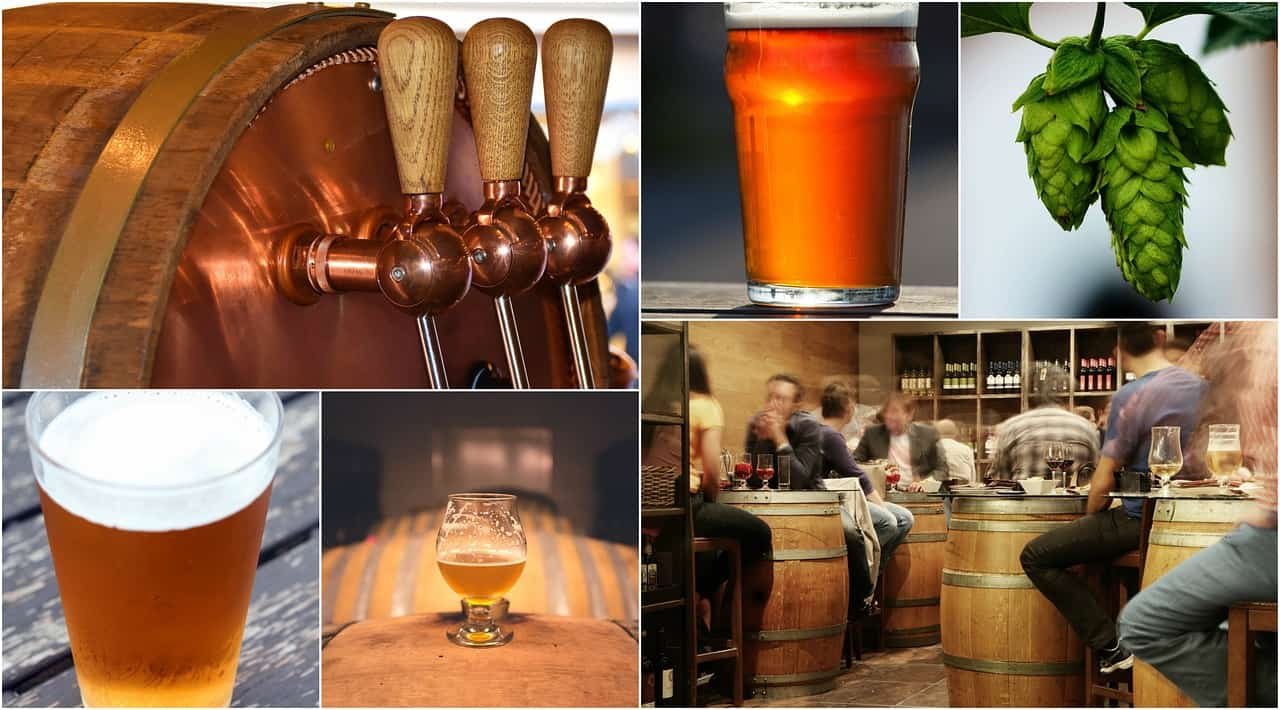 Cervejaria Vinícola Proposta 2 Vermelha Cervejaria Vinícola Proposta 2 Vermelha