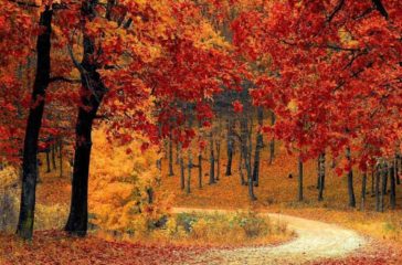 Autunno Italia Autunno Italia