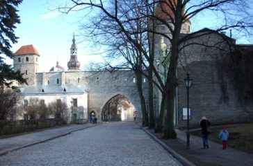 Tallin SuoViaggio Tallin SuoViaggio