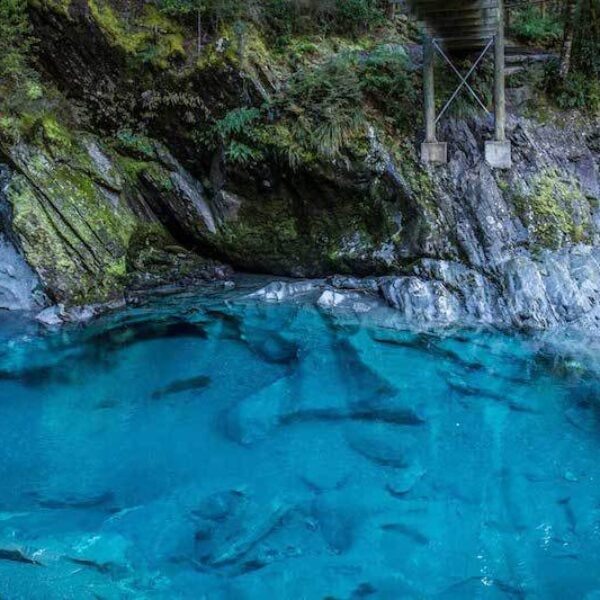 Nova Zelândia Blue Pools Track