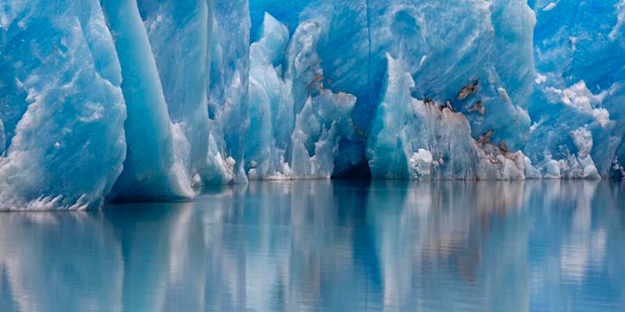 Patagônia Chilena Península del Grey Patagônia Chilena Península del Grey
