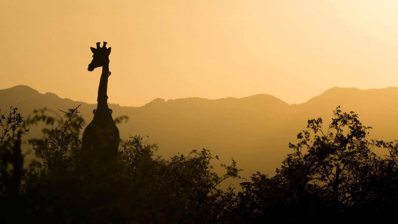 suoviaggio continente África foto divulgação