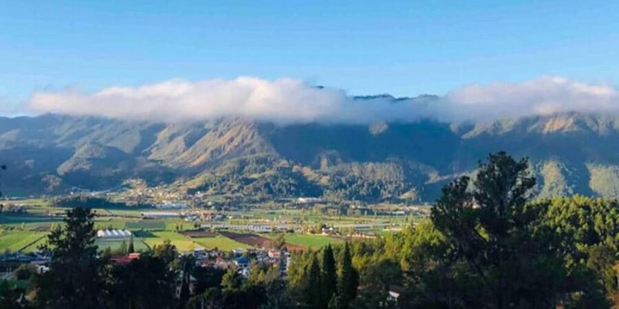 Constanza