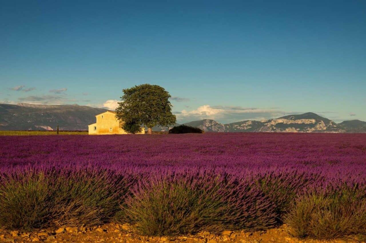 França Provença - Foto: Free license