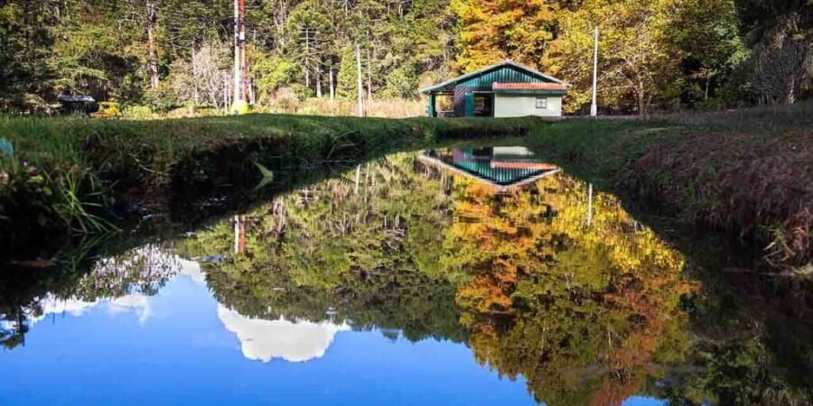 Campos Do Jordão Horto Florestal Parque Estadual