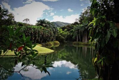 museu de inhotim minas gerais suoviaggio foto: divulgação