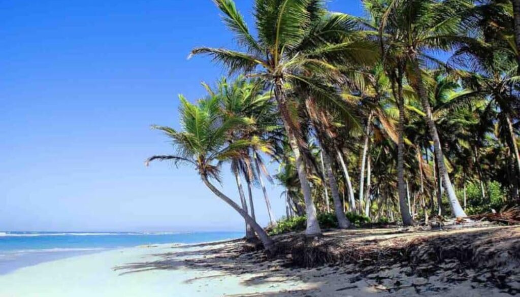 pelo mundo punta cana foto: divulgação