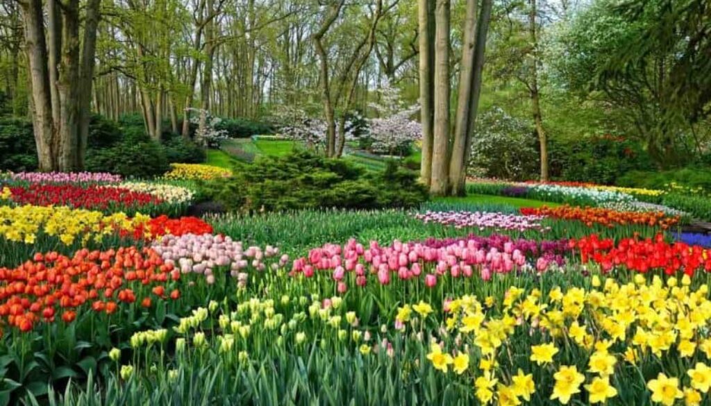 parque de keukenhof foto: divulgação