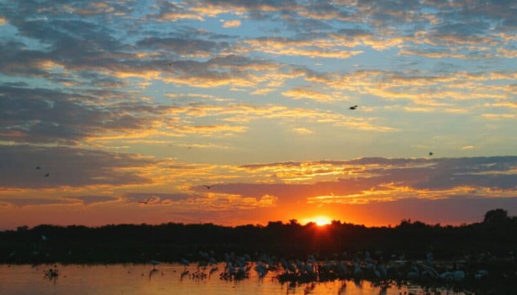 Pantanal - Mato Grosso do Sul - Foto divulgação