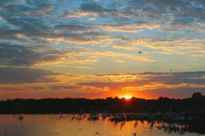 Pantanal - Mato Grosso do Sul - Foto divulgação