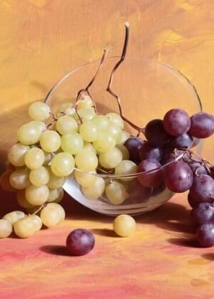 vinho e eu os majores produtores foto divulgação
