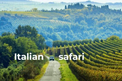 Italian Safari