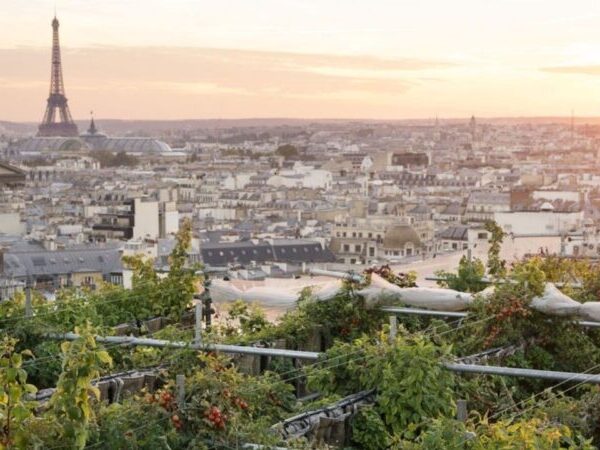 Itinerário perfeito de uma semana em Paris🥐