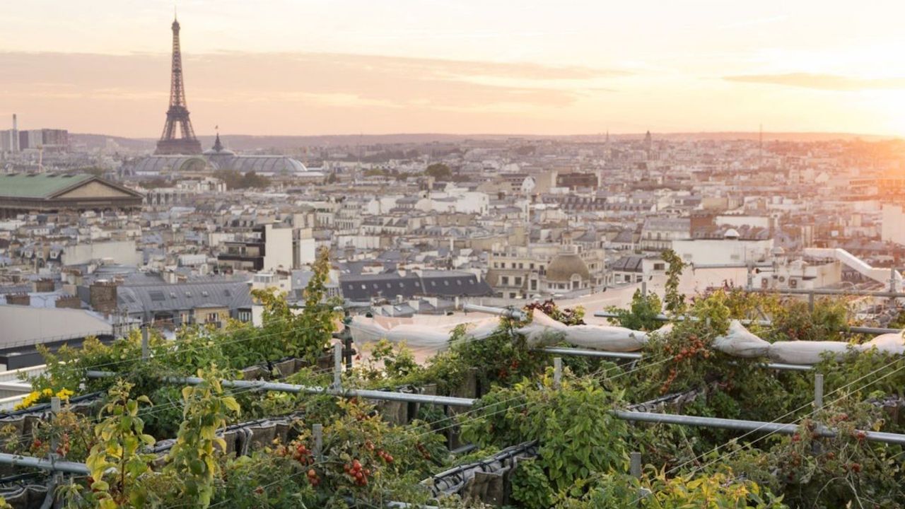 Itinerário perfeito de uma semana em Paris🥐