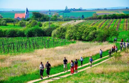 visit czechia amantes do vinho 03 foto visit czechia