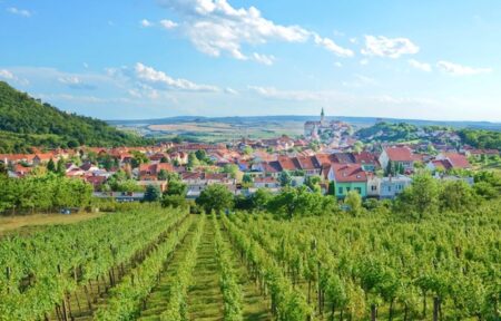 visit czechia amantes do vinho 04 foto visit czechia