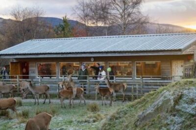 VisitScotland Tourism Insider | sua última atualização