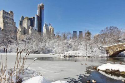 central park ny inverno credits divulgação