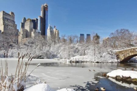 Feliz Domingo no Central Park