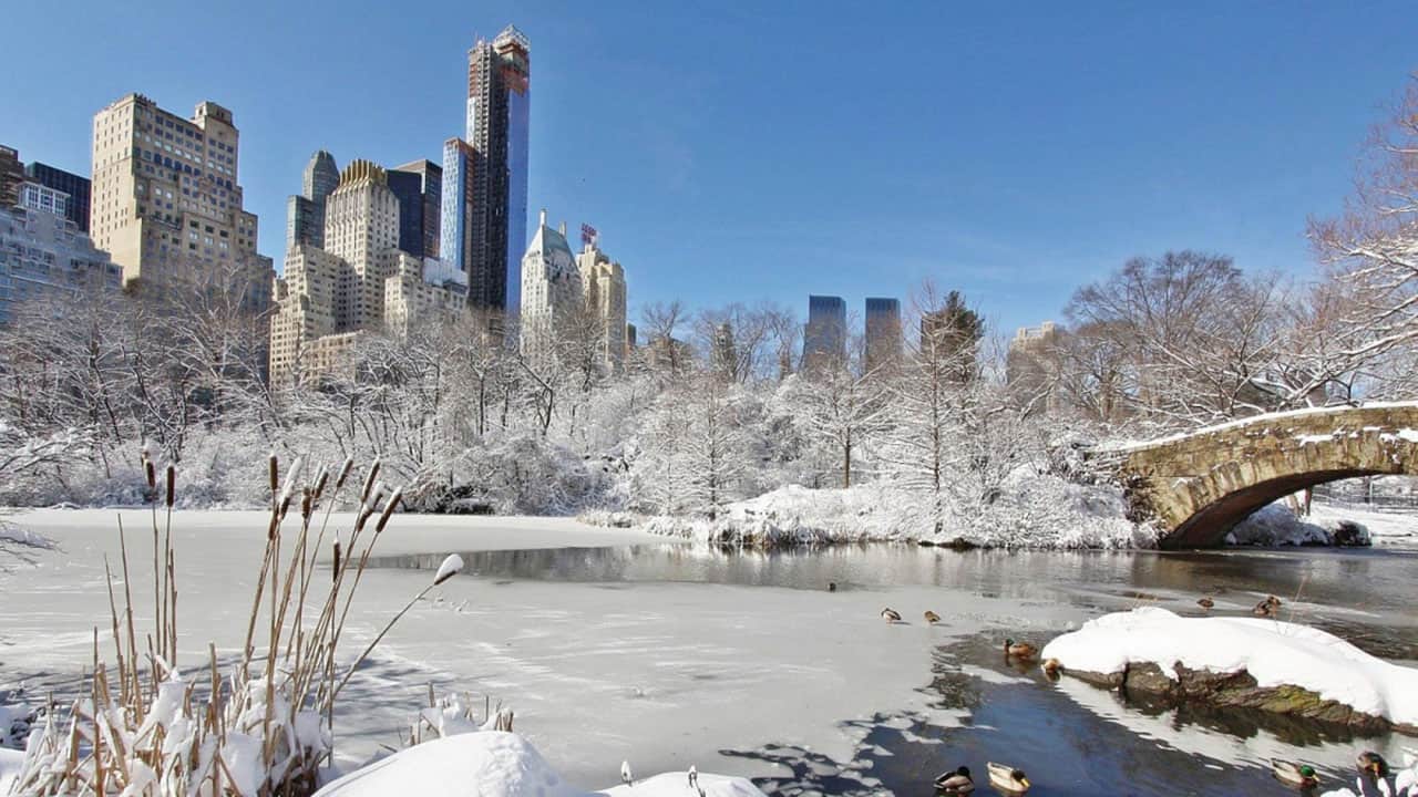 central park ny inverno credits divulgação