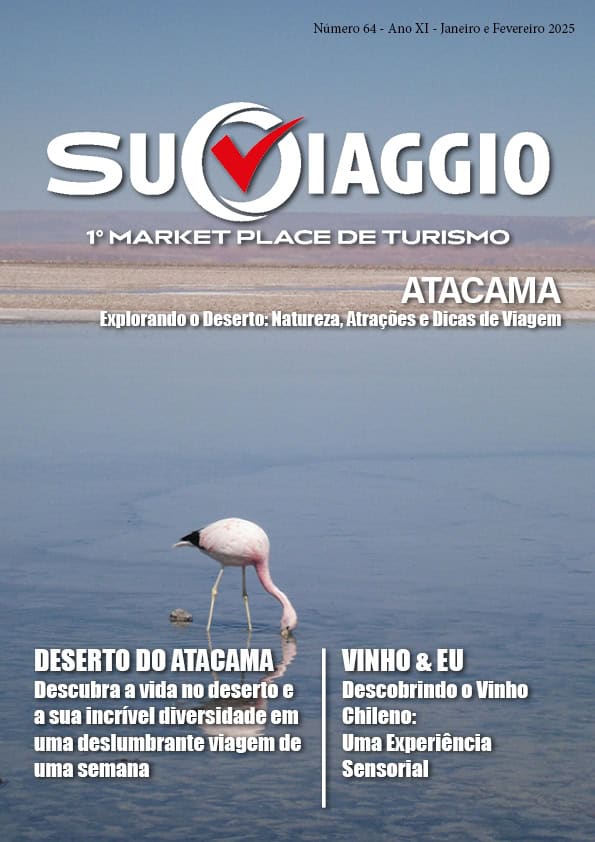 suoviaggio revista n. 64 atacama janeiro fevereiro 2025 ano xi