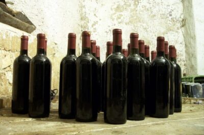 vinho chileno suoviaggio ed jan fev 2025