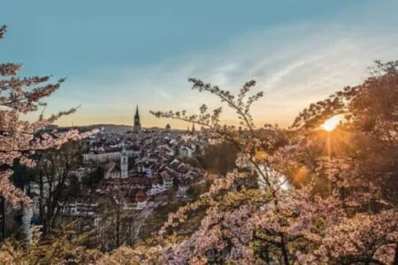 Você ouve a primavera chamando?