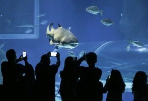 aquario celebra a páscoa 00