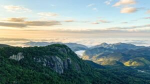 monte verde credits site oficial
