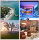 the palm beaches