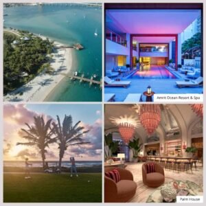 the palm beaches