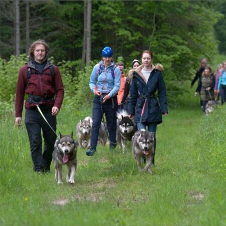Visit Estonia’s April newsletter 01 – Credist Visit Estonia.jpg visit estonia's april newsletter 01 credist visit estonia