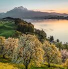 weggis spring evening panorama credits andrea gerth
