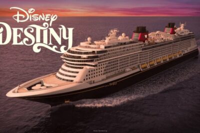 disney destiny ship with clean logo
