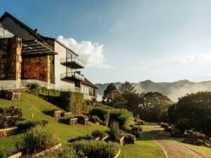 botanique hotel experience