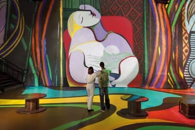 PICASSO, A ARTE EM MOVIMENTO