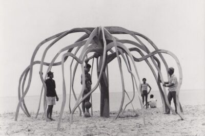 MASP apresenta obras de Frans Krajcberg