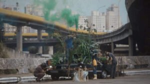 imagem da obra cura crédito bijari