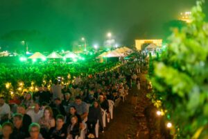natal nos vinhedos