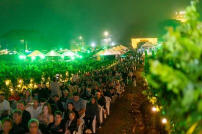natal nos vinhedos
