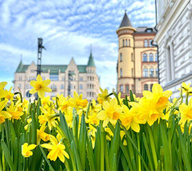 O turismo expande – e faz crescer – toda a economia finlandesa 02 – Credits Divulgação.jpg o turismo expande – e faz crescer – toda a economia finlandesa 02 credits divulgação