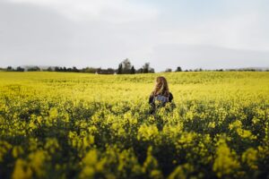 © sarah green, visitnordsjælland