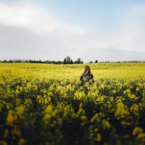 © sarah green, visitnordsjælland
