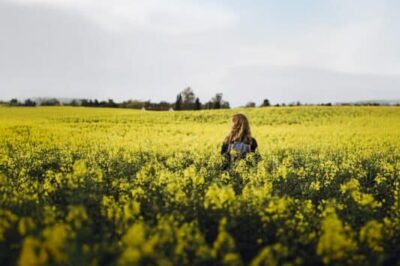 © sarah green, visitnordsjælland