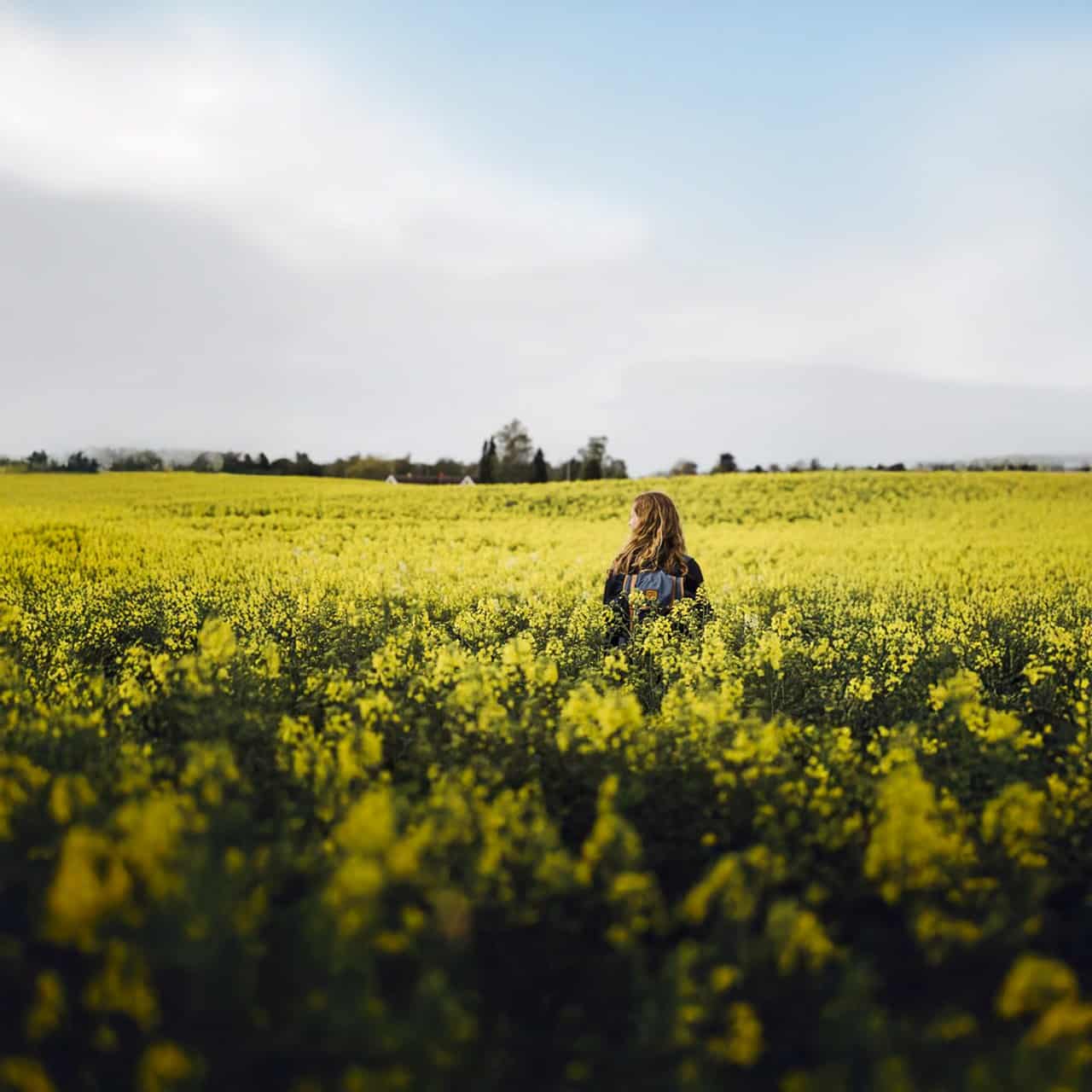 © sarah green, visitnordsjælland