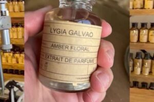 lygia galvao credits lygia gaçvao