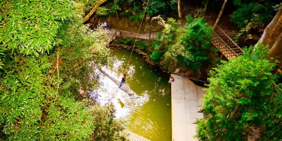 Parque Maeda amplia funcionamento em julho Parque Maeda amplia funcionamento em julho