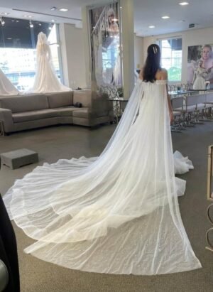vanessa machado na prova dos vestidos. será que esse foi o escolhido