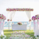 wedding credits divulgação