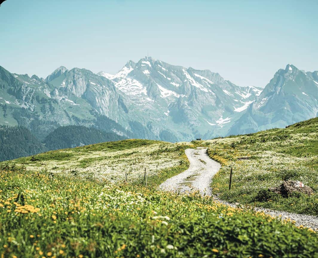 your summer starts now credits switzerland